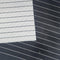 LINES Placemat