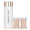 Amazing Base Loose Mineral Powder Spf 20 Refillable Brush (1x Brush, 2x Refills)