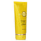 Five Minute Hair Repair (for Blondes) - 148ml/5oz