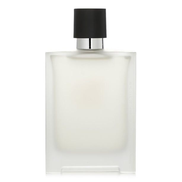 Terre D'hermes After Shave Lotion - 100ml/3.3oz
