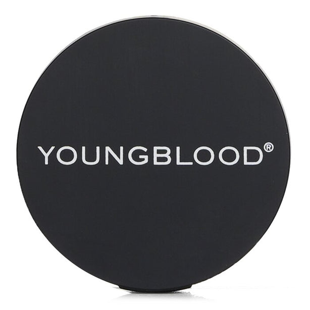 Ultimate Corrector - 2.7g/0.1oz