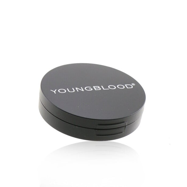 Ultimate Concealer - - 2.8g/0.1oz