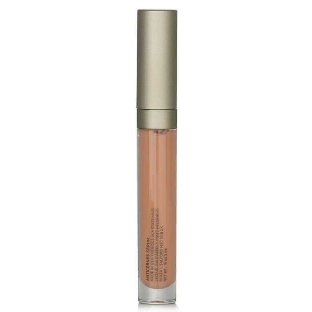 True Skin Serum Concealer