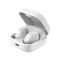 Sennheiser Accentum True Wireless In-Ear Earbuds