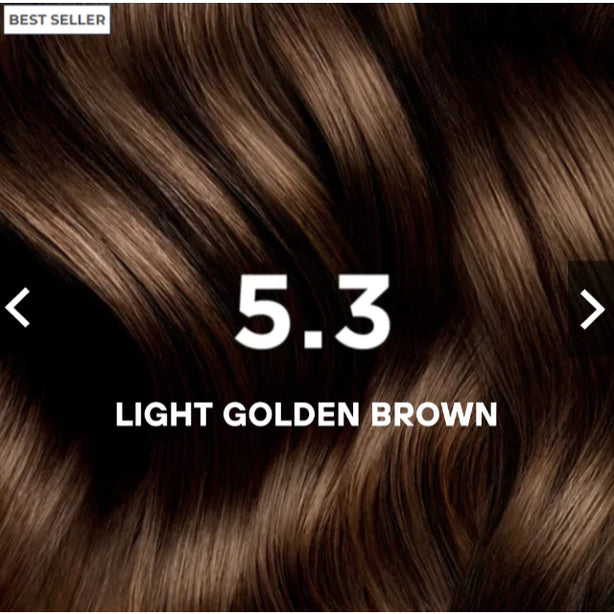 Phyto Permanent Color Kit - 5.3 Light Golden Brown (Bundle of 4)
