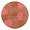 Terracotta Light The Sun Kissed Healthy Glow Powder Refill - # 04 Fonce Rose - 10g