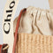 CHLOE Small Woody Basket In Natural Fibers White RS-CHC22SS381G55101