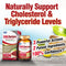 LABO Nutrition CHOLRestore Red Yeast Rice - Cholesterol Triglyceride 90 caps