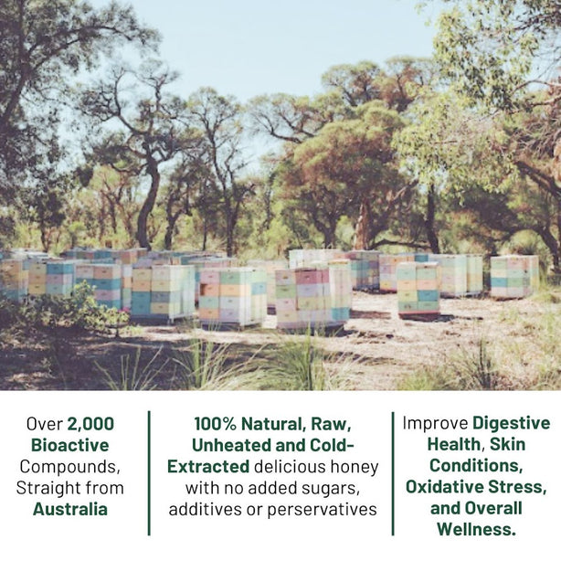 Hives Keeper Australian Jarrah Honey - Rare Harvest Active TA40+ 250g