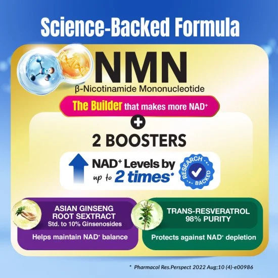 LABO Nutrition Le Ageless NMN+ 600mg with NAD+ Boosters Ginseng Extract & Trans-Resveratrol Supplement - Youth & Vitality Rejuvenator for Cellular Repair Anti Aging Heart Health Energy Metabolism Brain & Memory Antioxidants Sleep Quality • Halal • 6