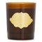 Parfumeur Ambre Candle - 240g/8.5oz
