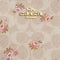 Coach Large Corner Zip Wristlet In Signature Canvas - Sand Multi CBA72