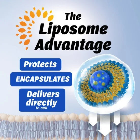 LABO Nutrition Liposomal Vitamin D3 1000IU for Strong Bones, Teeth, Muscle & Immune Health • First Vegan Sourced Vitamin D Supplement