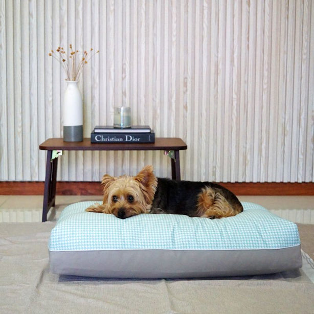 Dreamcastle Large Cooling Dog Bed Dreamy