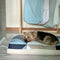 Dreamcastle Large Cooling Dog Bed Maze