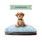 Dreamcastle Large Cooling Dog Bed Polkadot Daisy
