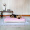 Dreamcastle Large Cooling Dog Bed Milky Way