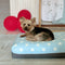 Dreamcastle Large Cooling Dog Bed Polkadot Daisy