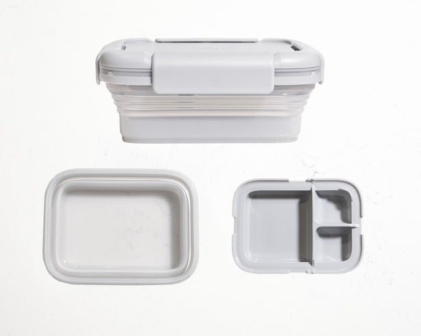 Stojo Collapsible Bento 650ml, Medium