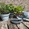 Scrunch Seedling Pot with Trowel