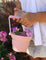 Scrunch Seedling Pot with Trowel