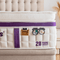 Dr.Maxis Cool Violet 15 Inch Pocketed Spring Mattress
