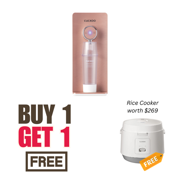 Prince Top Water Purifier Tankless + CR1095 (Free 1-Year Servicing CCSP & Installation)