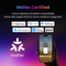 SwitchBot Floor Lamp Smart LED with Matter Supported (UK Plug)
