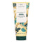 Moringa Body Lotion - 200ml