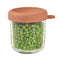 Beaba Glass Jar 250ml - Terracotta