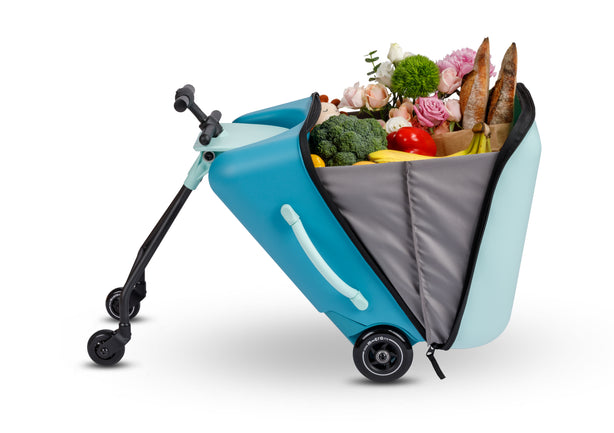 Micro Ride On Luggage Eazy Allrounder