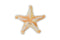 Bubble Plush Toy - Sunny the Starfish