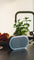 DALI Katch G2 Portable Bluetooth Speaker