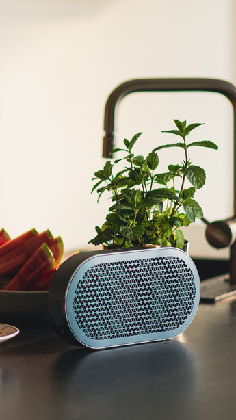 DALI Katch G2 Portable Bluetooth Speaker