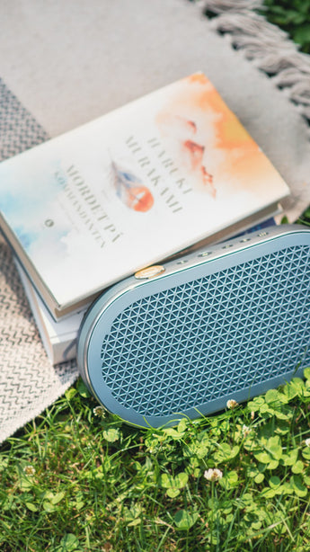 DALI Katch G2 Portable Bluetooth Speaker