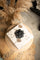 Wine And Cheese Wrapping Paper