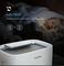 C+ Model Air Purifier + Humidifier (Free 1-Year Filters)