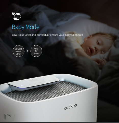 C+ Model Air Purifier + Humidifier (Free 1-Year Filters)