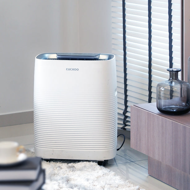 C+ Model Air Purifier + Humidifier (Free 1-Year Filters)