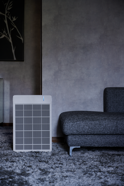 R Model Air Purifier (Free 1-Year Filters)