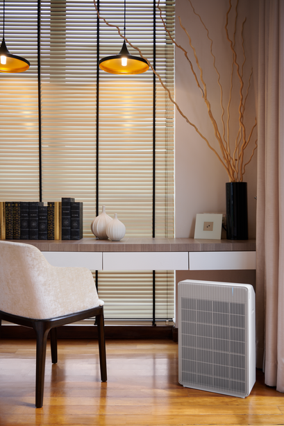 R Model Air Purifier (Free 1-Year Filters)