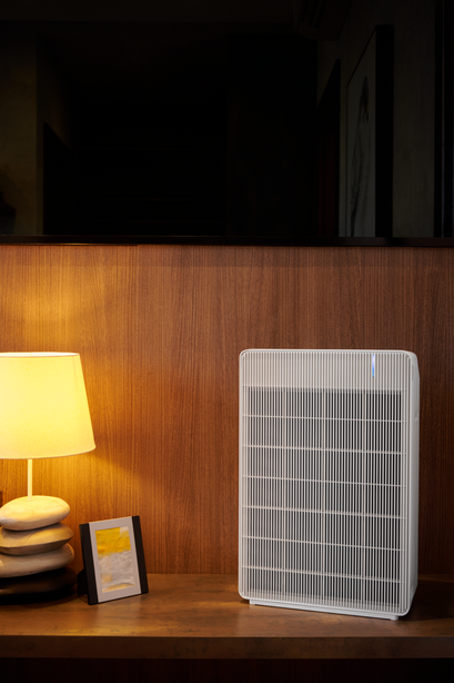 R Model Air Purifier (Free 1-Year Filters)