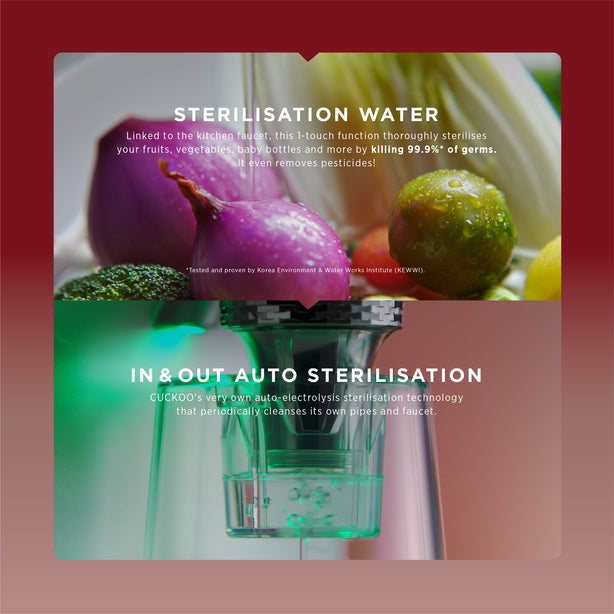 Titan Water Purifier Tankless 100°C + CR1095 Rice Cooker + 1 Aquarius Faucet (Free 1-Year Servicing CCSP & Installation)