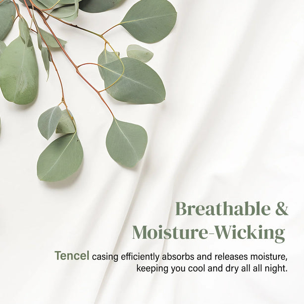 Bellami I ZZEN 100% TENCEL™ Cover DownFeel® I Loft Pillow – 1600g