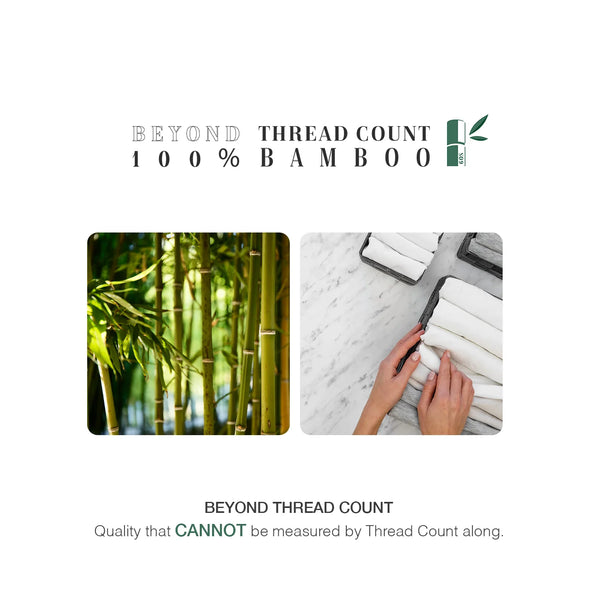 Bellami I Trinity BambooPro Beyond Thread Count Inmost Light