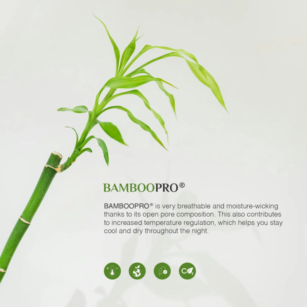 Bellami I Trinity BambooPro Beyond Thread Count Inmost Light