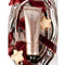 TAC Therapy LE Festive 3 x 50ml Hand Cream - Christmas Pudding (U.P: $35 ea.)
