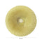 Chalres Millen Signature Collection Glam Accent Plate, Soleil
