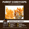Cordyceps Prestige - 120ct