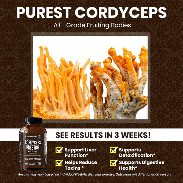 Cordyceps Prestige - 120ct